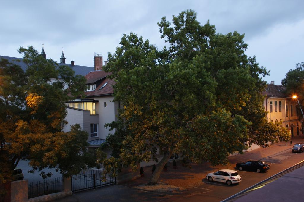 Szent Gellert Hostel Секешфехервар Экстерьер фото